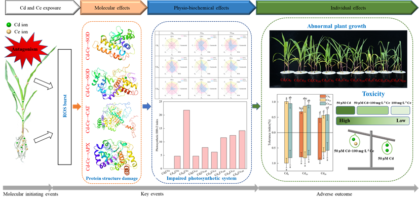 欢乐斗地主下载