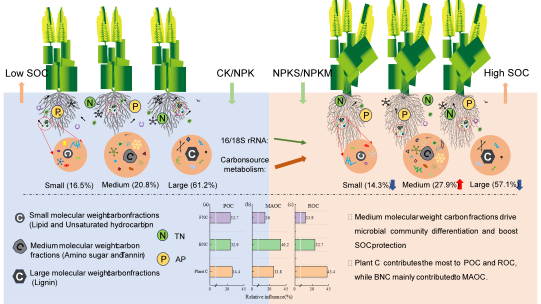 欢乐斗地主下载
