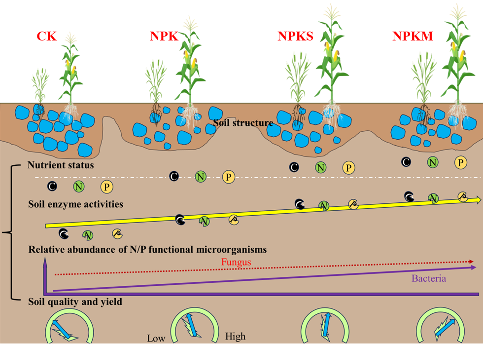 欢乐斗地主下载