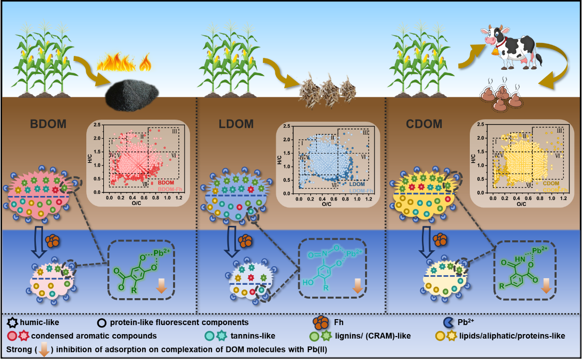欢乐斗地主下载